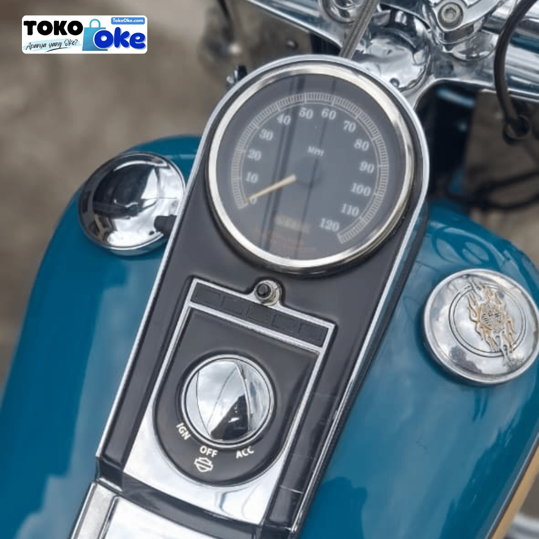Heritage Softail Classic Teal & Tan