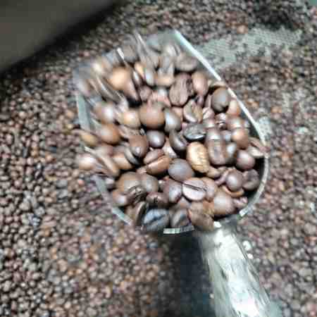 Jual-kopi-online