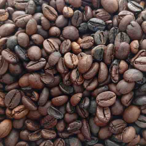 biji-kopi-sangrai